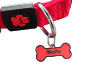 Pro mazlíčky