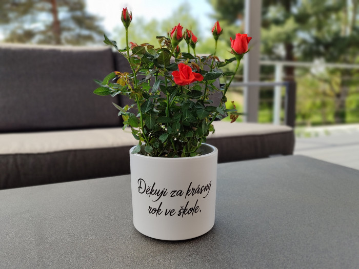 Květináč s nápisem pro paní učitelku vzor 5 - D-decor (1)