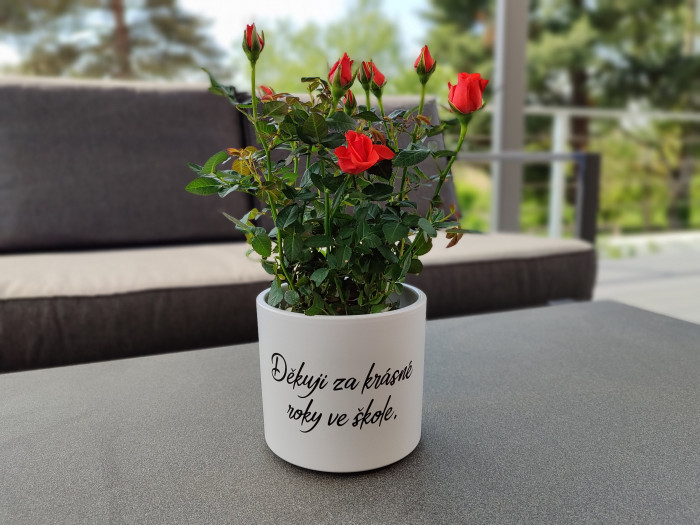 Květináč s nápisem pro paní učitelku vzor 6 - D-decor (1)