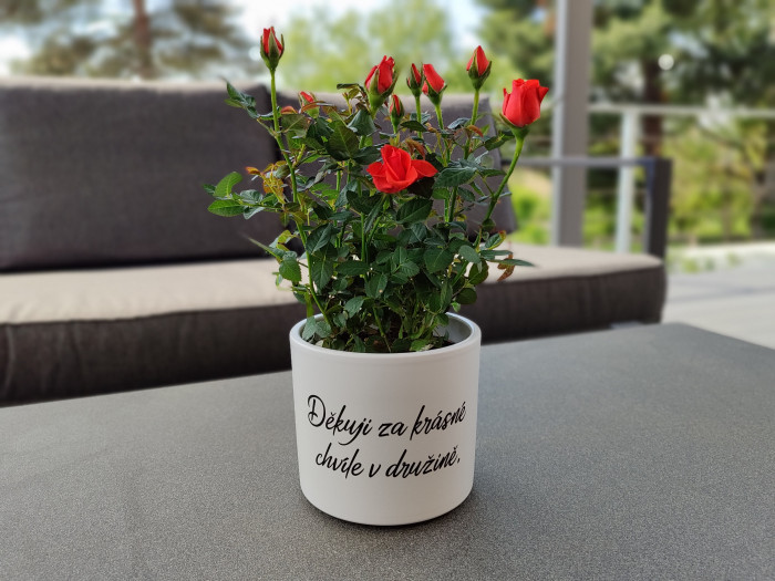 Květináč s nápisem pro paní vychovatelku - D-decor (1)