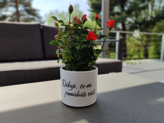 Květináč s nápisem D-decor - Děkuji, že mi pomáháte růst. (3)