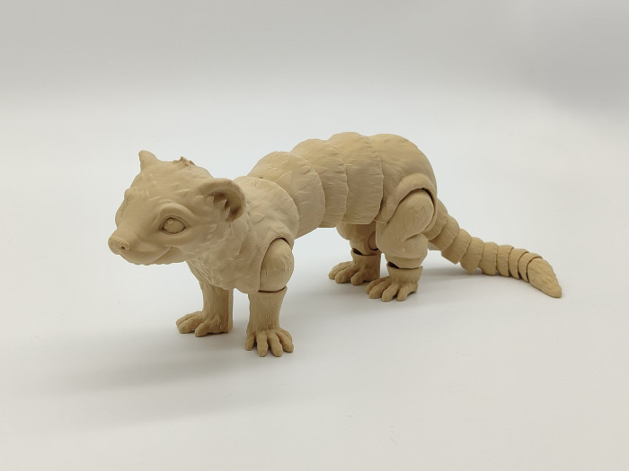Pohyblivé 3D omalovánky Fretka - D-decor (4)