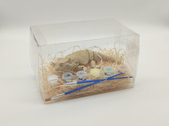 Kreativní sada 3D omalovánek Agama - D-decor