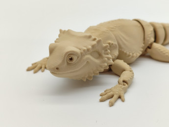 Kreativní sada 3D omalovánek Agama - D-decor (7)