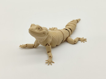 Pohyblivé 3D omalovánky Gekončík - D-decor (4)