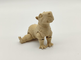 Kreativní sada 3D omalovánek Kapybara - D-decor (5)