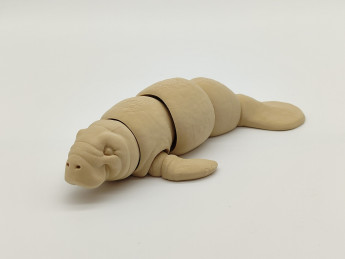 Kreativní sada 3D omalovánek Kapustňák - D-decor (3)
